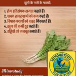 मूली के पत्ते