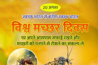 World Mosquito Day
