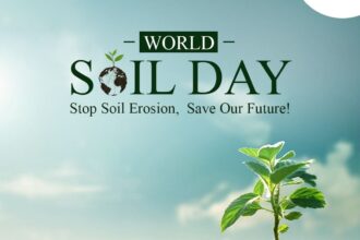 World Soil Day