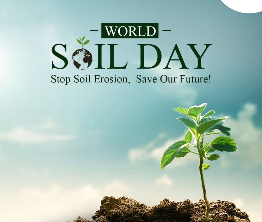 World Soil Day