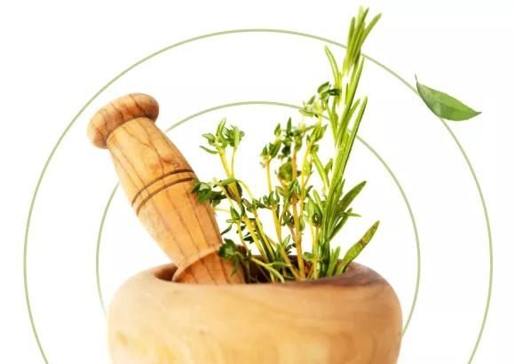 Ayurveda in India