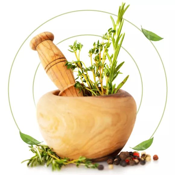 Ayurveda in India