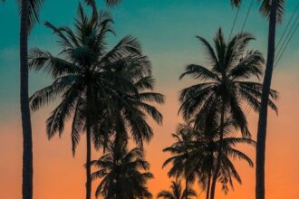 Goa