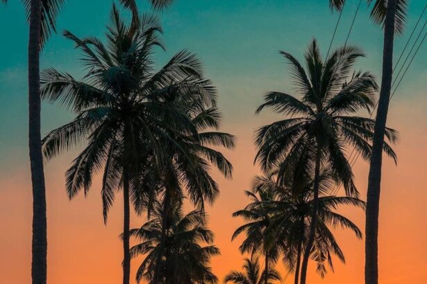 Goa