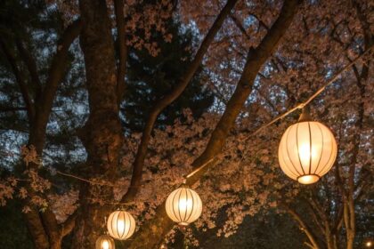 Garden of Dreams