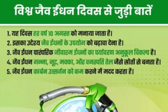 विश्व जैव ईंधन दिवस