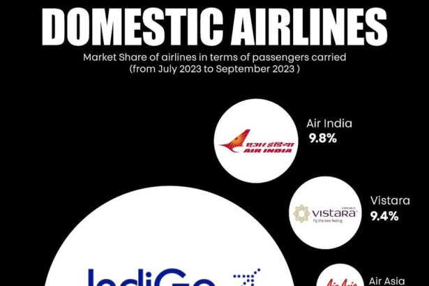 Domestic Airlines in India