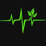 Pulse of the Planet