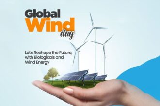 Global Wind Day