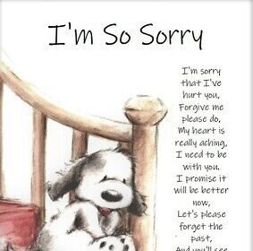 Sorry Friendship Poem