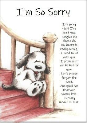 Sorry Friendship Poem