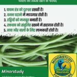 Chawli Vegetable
