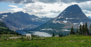 Glacier National Park