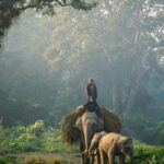 Chitwan National Park