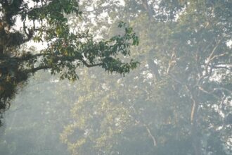 Chitwan National Park