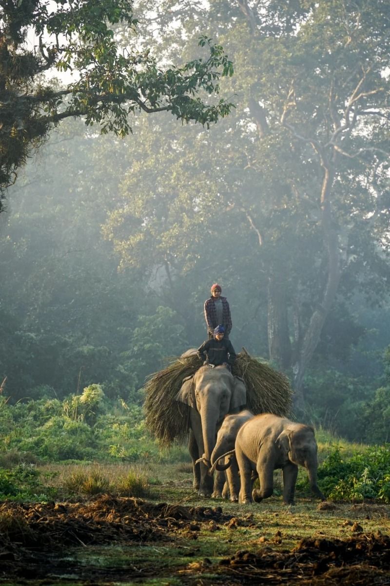 Chitwan National Park