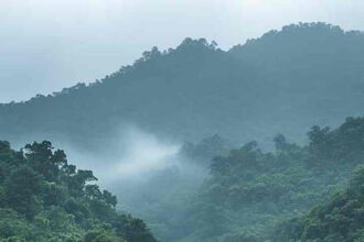 Wayanad