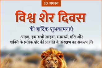 World Lion Day