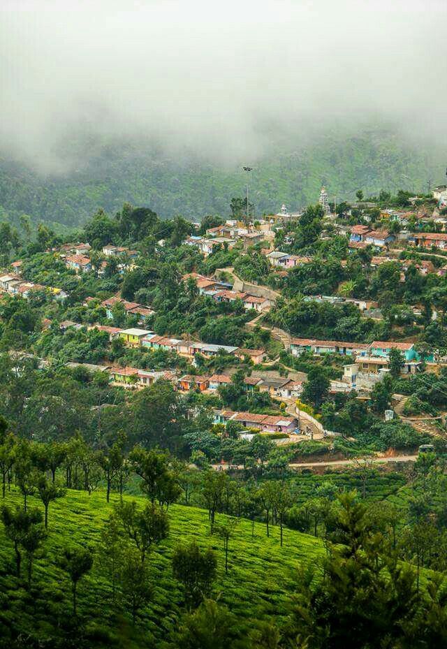 Ooty