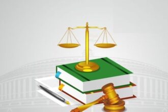 Right to Constitutional Remedies