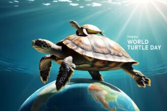 World Turtle Day