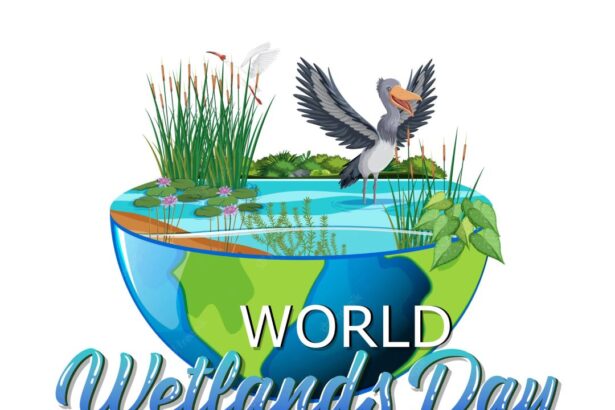World Wetlands Day