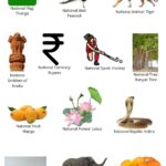 national Holidays