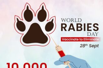 World Rabies Day