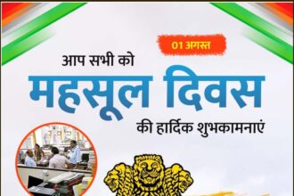 महसूल दिवस