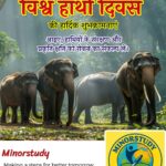 World Elephant Day