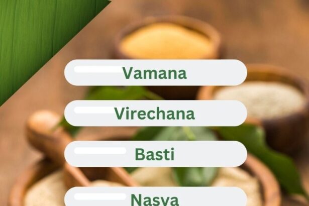 Panchakarma Treatment