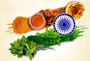 Ayurveda in India