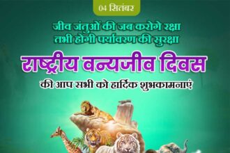 National Wildlife Day