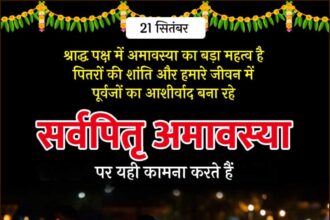 Sarvapitri Amavasya