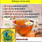 Chamomile Tea