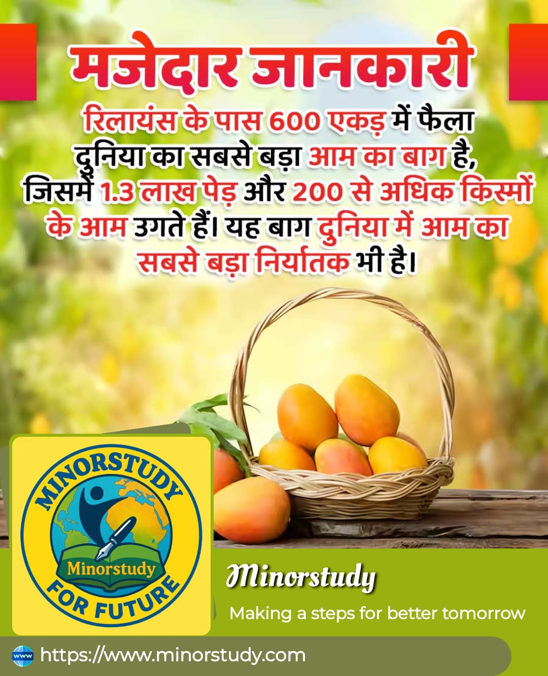 Mango Orchard