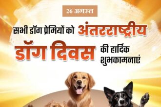 International Dog Day