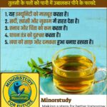 Tulsi